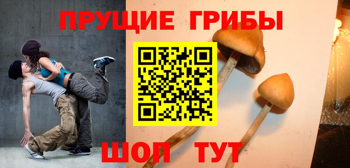 Галлюциногенные грибы Magic Shrooms  Вход с VPN  Псилоцибиновые грибы Psilocybine cubensis  Сафоново 